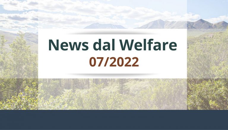 News dal Welfare 7 Welfarebit | Il Welfare dove vuoi quando vuoi