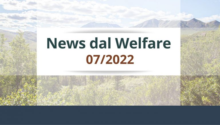 News dal Welfare 7 Welfare Blog